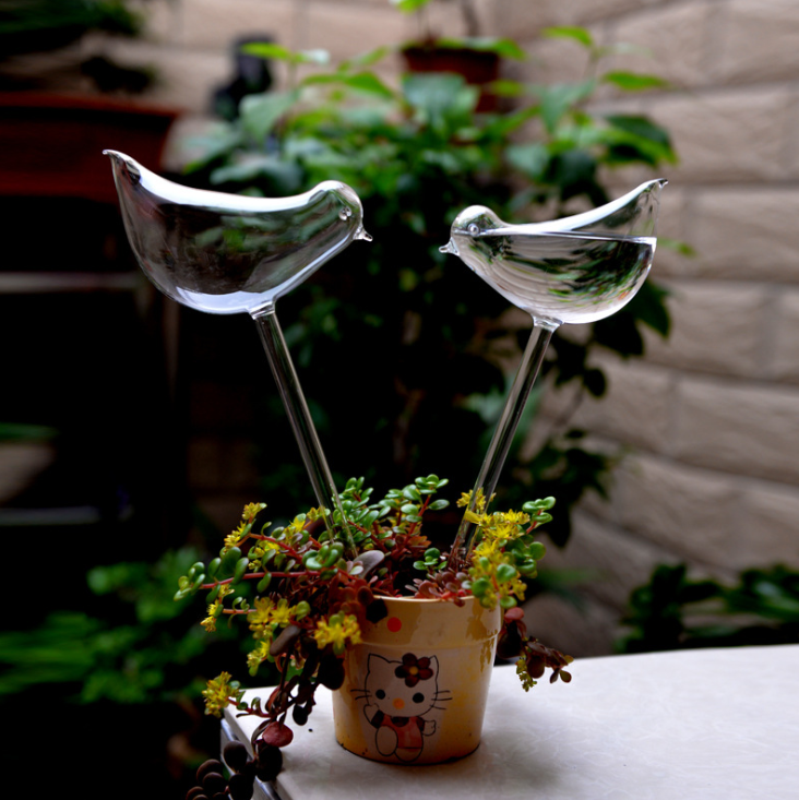 Glass Automatic Self Watering Device For Houseplants